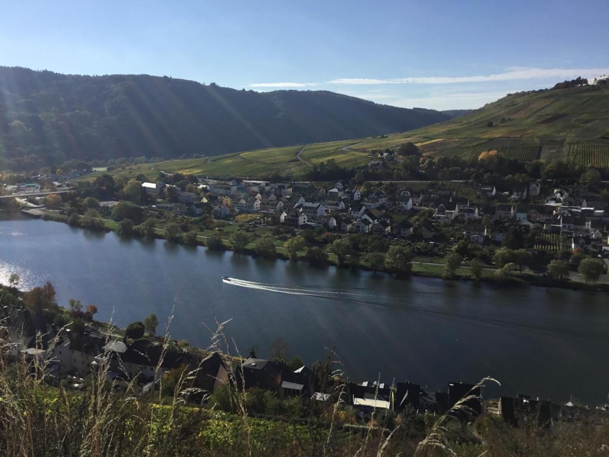 Mosel-Appartements Nehren Zell an der Mosel Exterior foto