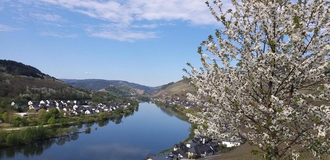 Mosel-Appartements Nehren Zell an der Mosel Exterior foto